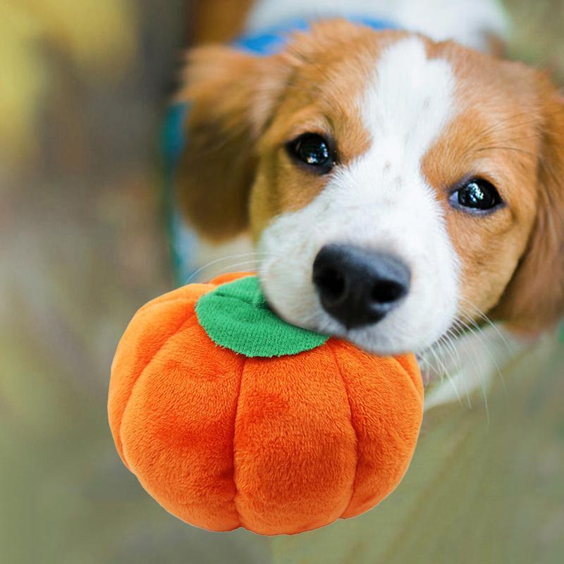 Pet Plushie Chew Toys (Design Variations)