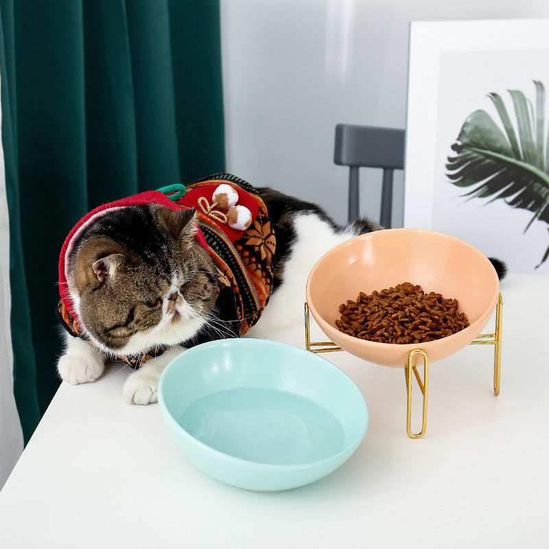 Basic Pet Food Water Bowl