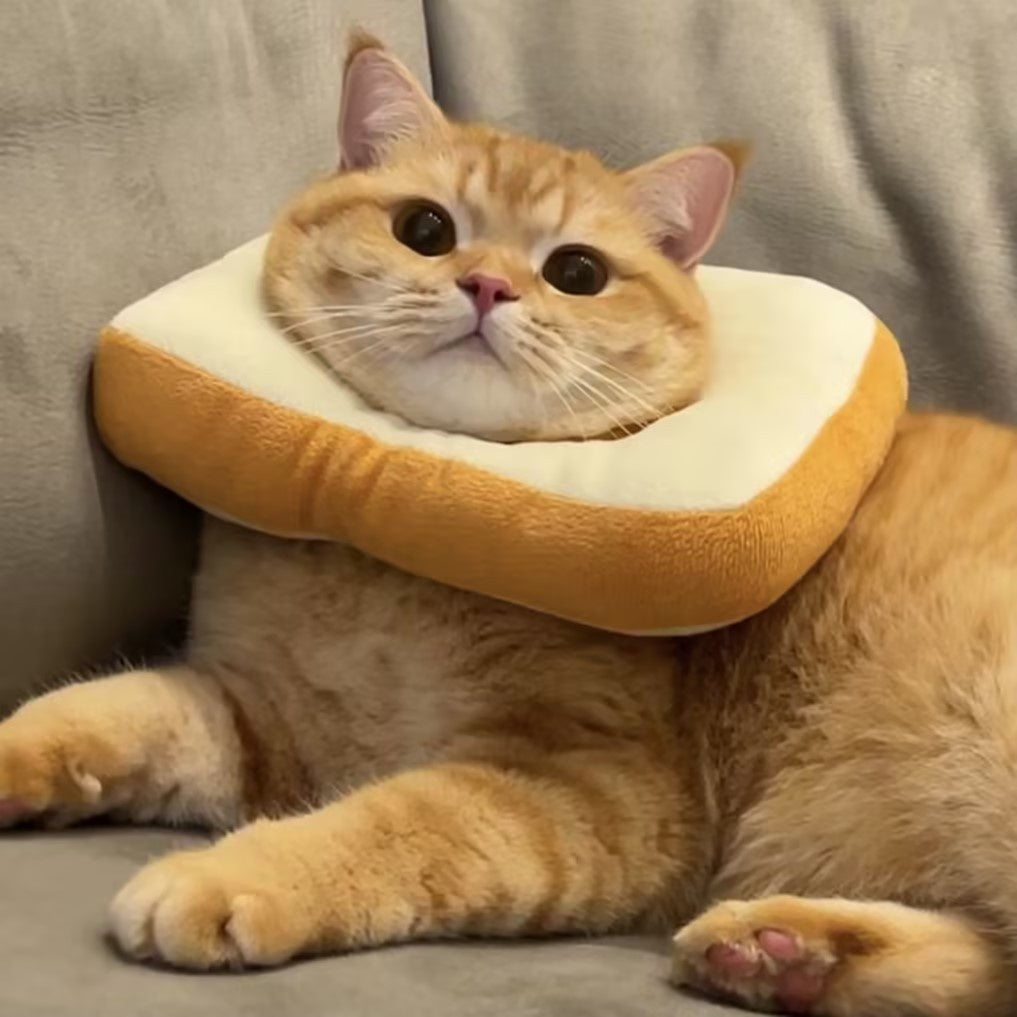Neck Plush Collar Costume for Pets (7 styles)