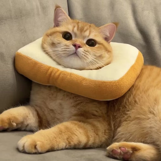 Neck Plush Collar Costume for Pets (7 styles)